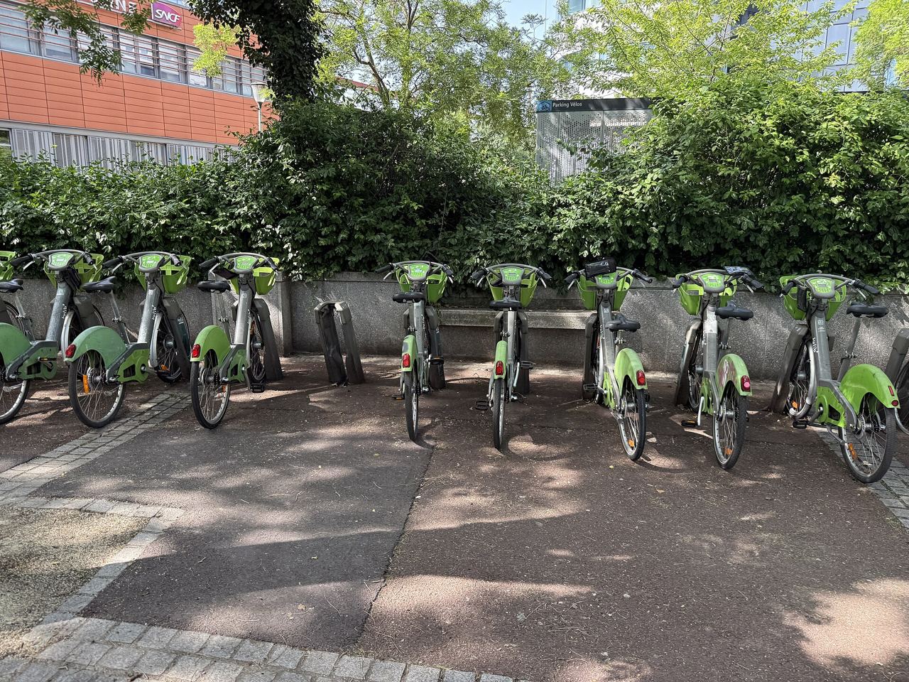 Station Vélib' de la place Lafayette à Issy-les-Moulineaux : une rangée de vélos verts mécaniques et électriques à leurs bornettes devant une haie, sous les arbres.